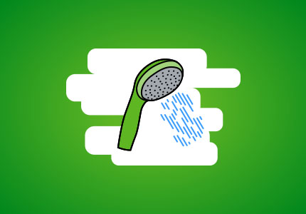 Groene douchekop