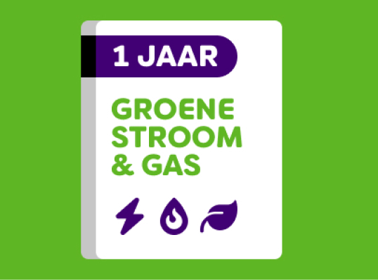 Icoon 1 jaar groene stroom en gas